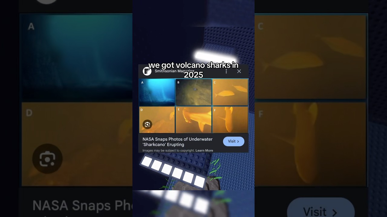 Вулканические акулы в 2025 году