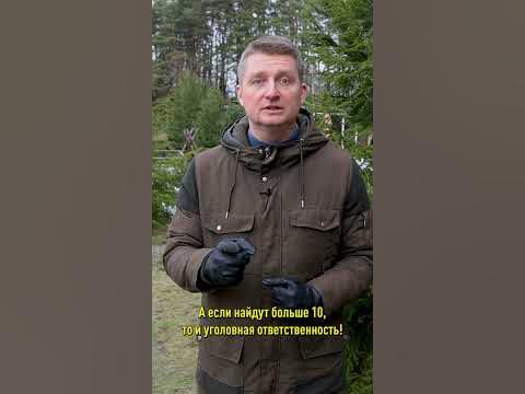 Никогда не сажайте эти растения! Они содержат психотропные вещества и ...