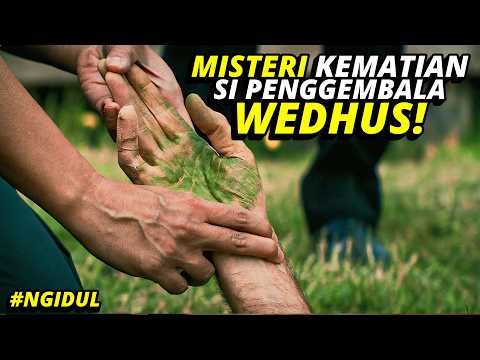 SIAPA SANGKA FILM INI PLOT TWIST DAN CUKUP MENGHARUKAN!