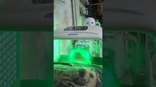 #led mask