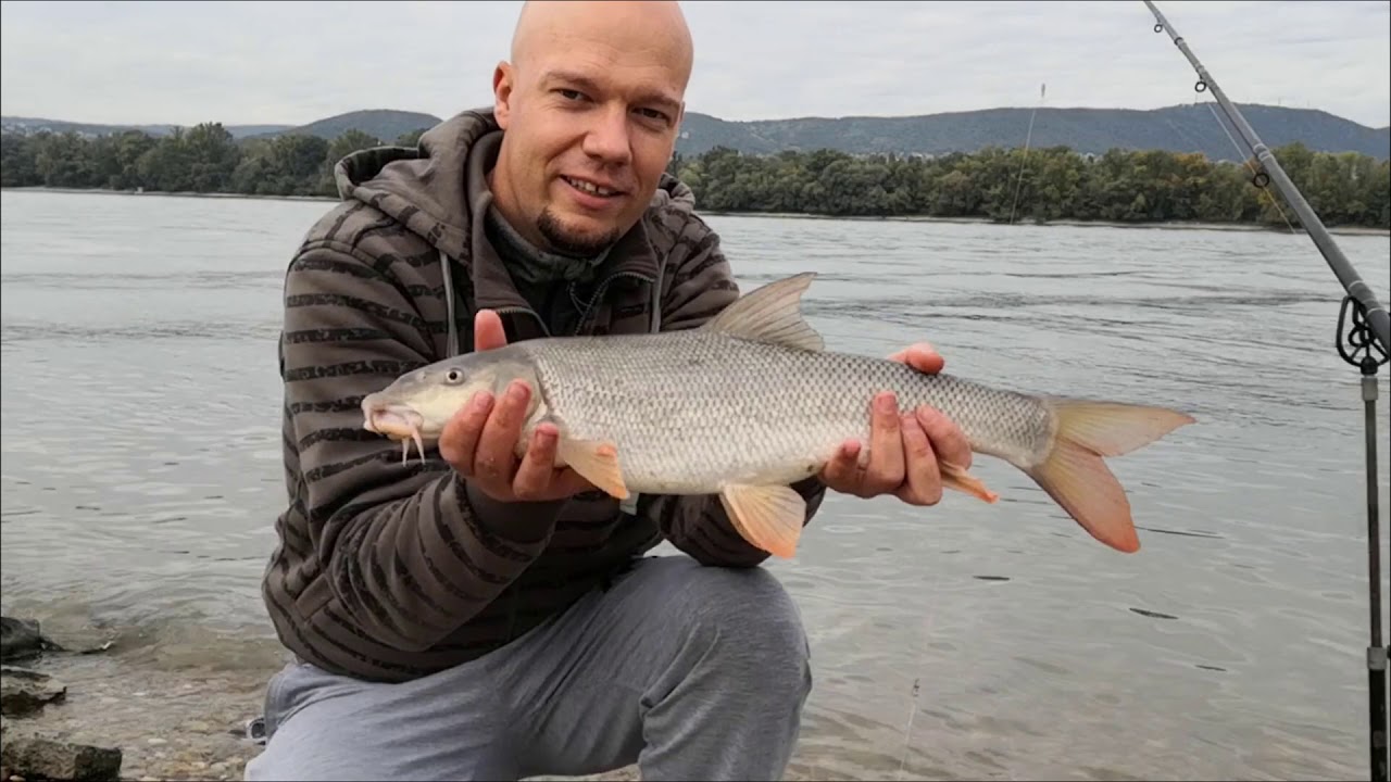 Eco horgászat - 10. rész - Őszi Duna (Duna Budapest)