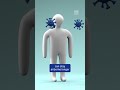 How Humidity Can Help You Fight The Flu