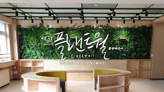 [vlog] 플랜트월, 벽면 시공하는 과정 보여드릴게요│인테리어│플랜테리어│식물 인테리어│벽 꾸미기│벽면 조경│식물 벽