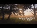 Colors of the Wind/ポカホンタス    カラー オブ ザ ウィンド    尺八:渡辺淳  shakuhachi