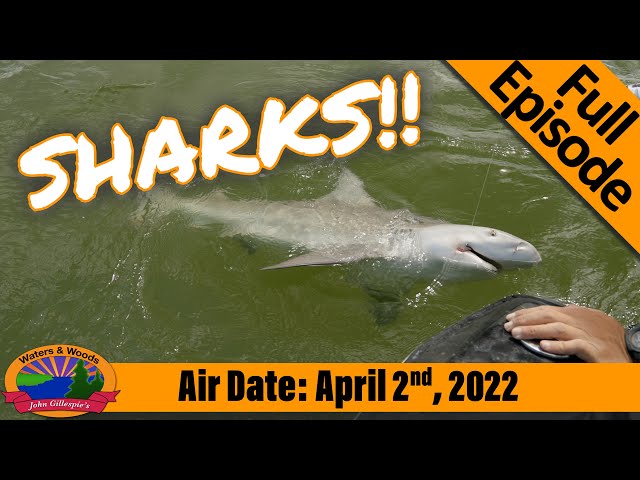 Episode #14, 2022: Shark Fishing for the First Time - FULL EPISODE