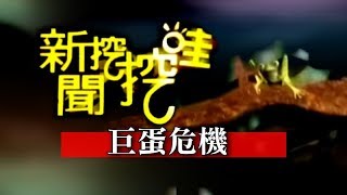 新聞挖挖哇:巨蛋危機20150417
