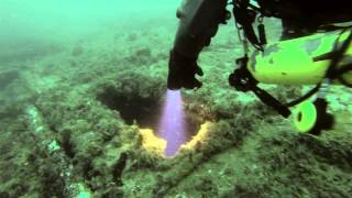 Wreck Diving MS Mikhail Lermontov - Dean&#39;s Inspection Run