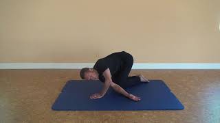 Great 8™ Mobility Program by Stretch to Win® - rhomboids (alternate)