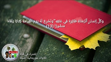 تلاوة مريحة بصوت الشاب الموريتاني محمد ينجى ⚘