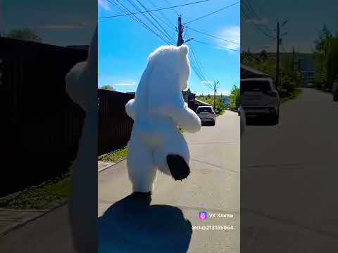 #топ #ростоваякукла #медведь #белыймишка #поздравление #раменское #праздник #деньрождения
