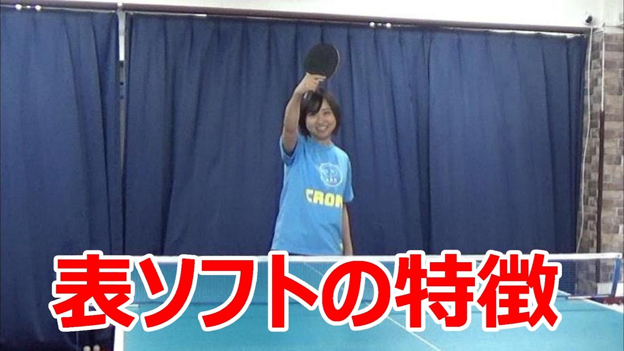 表ソフトの特徴