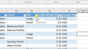 Filter Data in MS Excel | Microsoft Excel Tutorial (2016) [Hindi/Urdu]