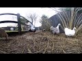 Vuze 360 camera sample video footage