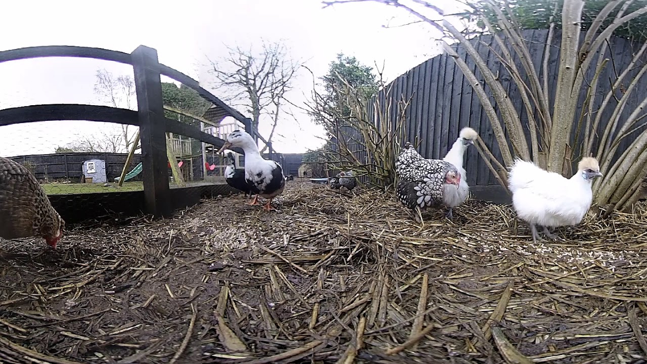 Vuze 360 camera sample video footage