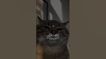 استخدموا الصوت🎧😌/القارئ إسلام صبحي