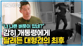 '달려드는 게 습관이 된 대형견!' 강형욱 훈련사에겐 어림도 없지!│세상에 나쁜 개는 없다│알고e즘