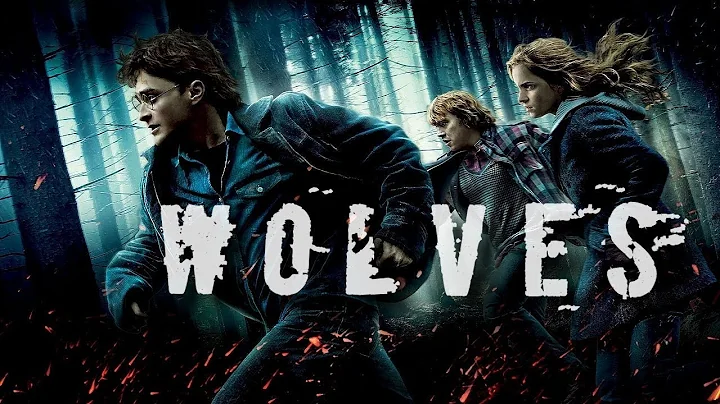 Harry Potter ||  Wolves | Selena Gomez-Marshmello....