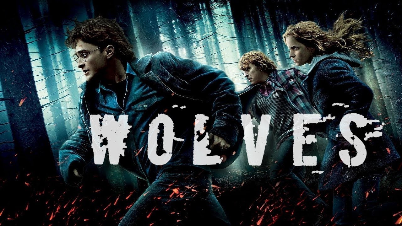 Harry Potter ||  Wolves | Selena Gomez-Marshmellow  | Series Of HARRY POTTER