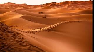 Masa Dewasa Nabi Muhammad SAW - Media Pembelajaran - Materi Kesabaran, Kepedulian dan Pekerjaan Nabi screenshot 3