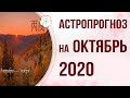 БАЦЗЫ 2020: АСТРОПРОГНОЗ на Октябрь 2020 года. Месяц Огненной Собаки 丙戌