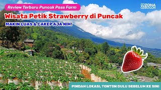 Makin Cakep & Luas, Wisata Petik Strawberry di Puncak Bogor | Puncak Pass Farm