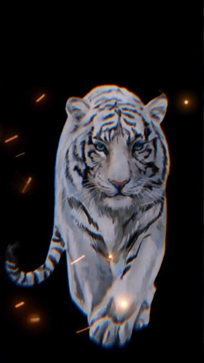 Status WA Macan Putih