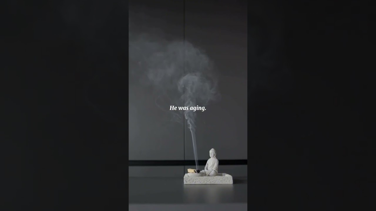 Part 4 : The Collector's Descent 