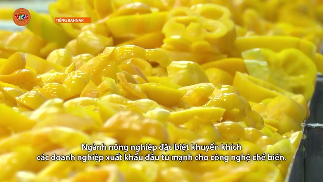 [TIẾNG BA NA] NÔNG NGHIỆP LÀ TRỤ ĐỠ CỦA NGÀNH KINH TẾ | VTV5