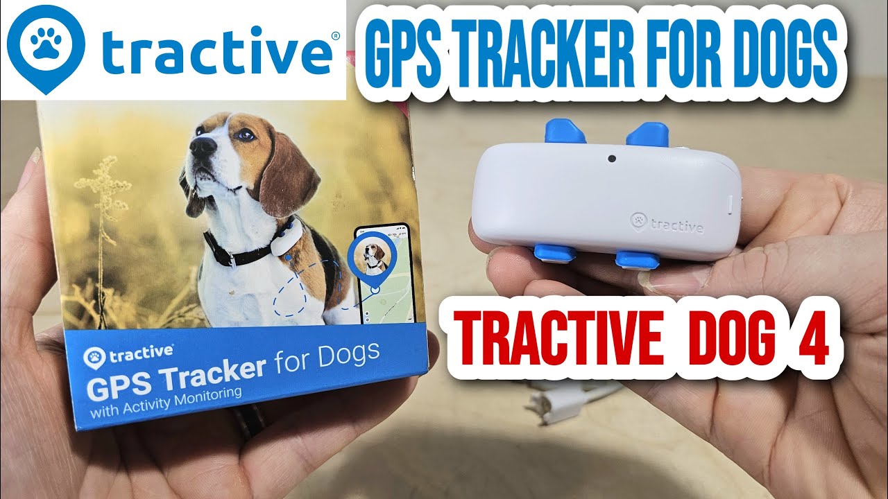 Tractive GPS Tracker for Cats and Dogs with Activity Monitoring