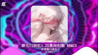 辞九门回忆1.2X莫问归期  |  Remix Hot TikTok Douyin 2025 ♪