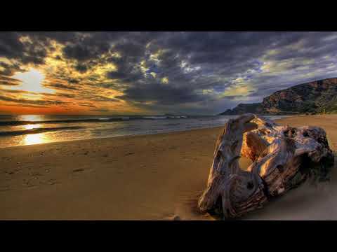 Amer Feat Nadine Elfarasha 