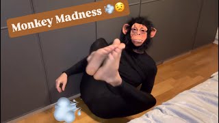Farting Monkey 🙊