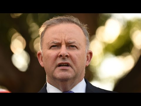 'Completely unacceptable': Albanese breaks silence on text message scandal