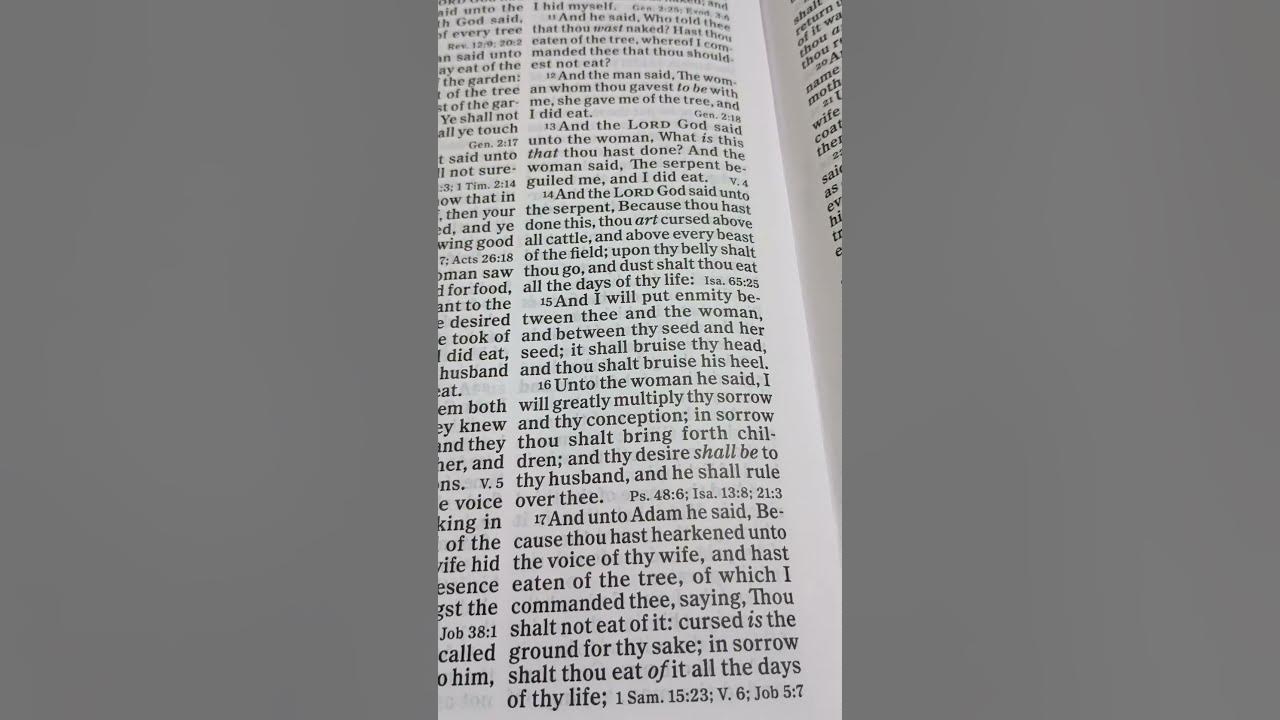 bible-reading-genesis-chapter-3-verse-16-bible-biblereading