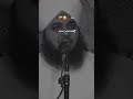 peer ajmal latest bayan, peer ajmal qadri bayan, peer ajmal raza qadri bayan, peer ajmal raza qadri