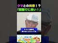 クマとの共存!?自分でやってから家