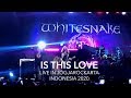 Is this Love - Whitesnake  - Live in Jogja Indonesia 2020 - Front Row