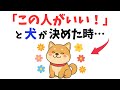 【選ばれてる？】犬が“本命”にだけする行動 13選