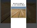 砂漠に無理やり鉄道を造った国の末路 #shorts