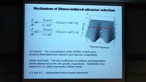Genetic Circuit Design 1