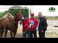 Carreras de Caballos 15 de Enero 2023 en el Hipodromo de Hermosillo