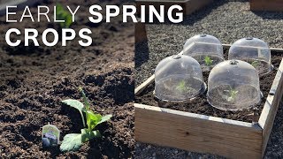 Planting a Few Early Spring Crops! 👩‍🌾🥦☀️// Garden Answer