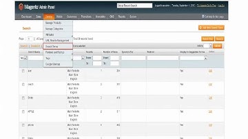 Magento eCommerce Online Tutorial