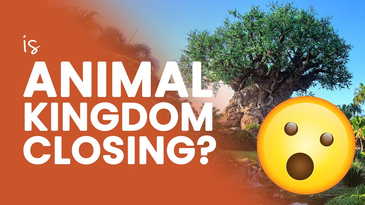 Is Disney’s Animal Kingdom Closing in 2024? Addressing the Rumors YouTube