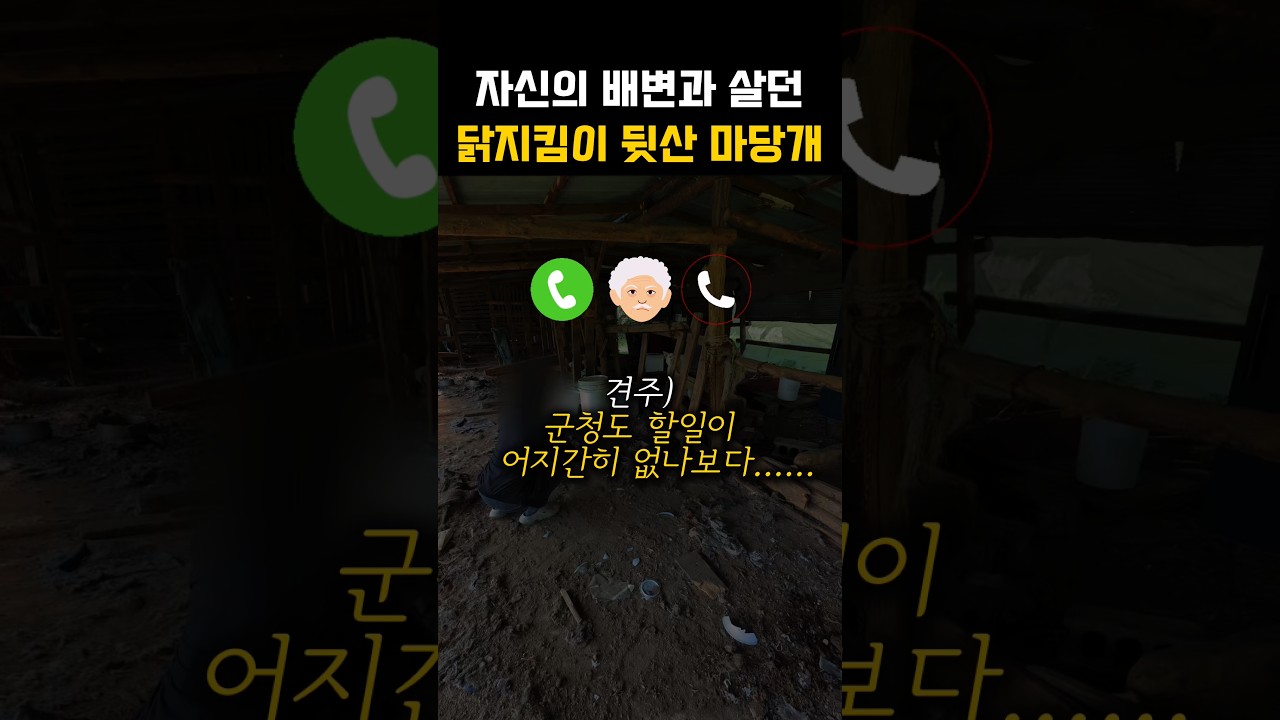 자신의 배변과 살고있던 두마리의 마당개