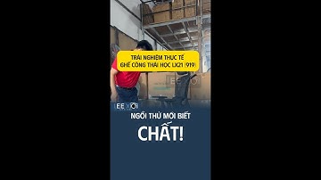 Trải Nghiệm Thực Tế Ghế Công Thái Học LX21 (919) – Ngồi Thử Mới Biết Chất | Leexo Shop