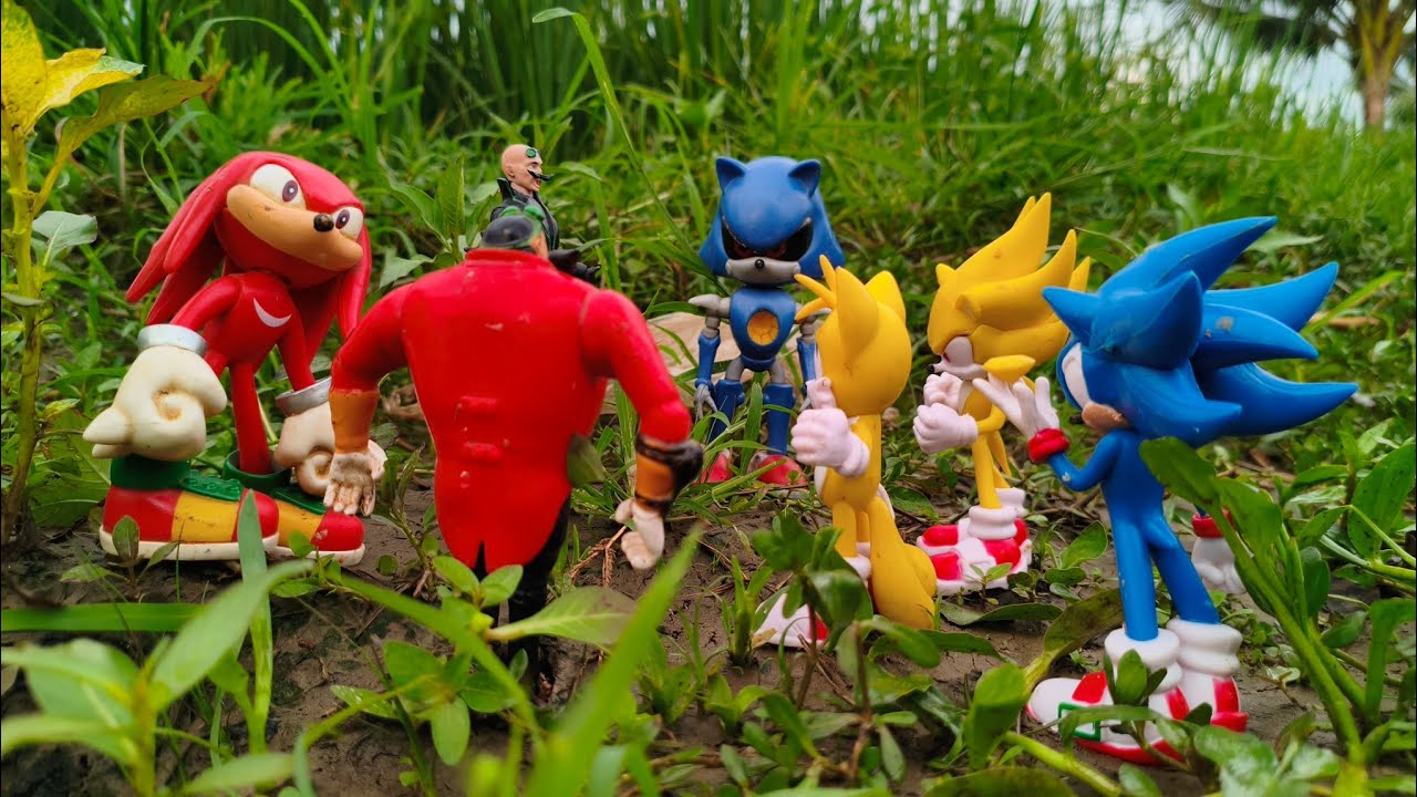 Hunting Sonic The Hedgehog:Sonic/Knuckles/Silver/Shadow/Metal Sonic/Tails/Amy Rose/Egg Man/Robotnic