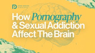 What P*rnography and Sexual Addiction Do To The Brain | Pure Desire Ministries