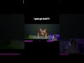 #short #gaming #stray https://www.twitch.tv/lexirex669