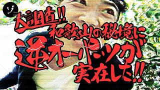 【緊急特番スペシャル】大調査!!和歌山の秘境に逆オーパーツが実在した!!